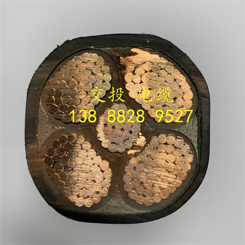 www.trsmz.net