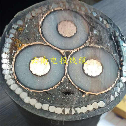 www.trsmz.net
