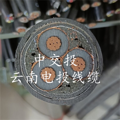 www.trsmz.net