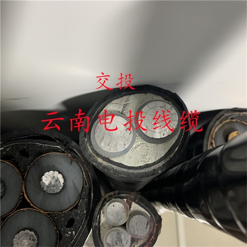 www.trsmz.net
