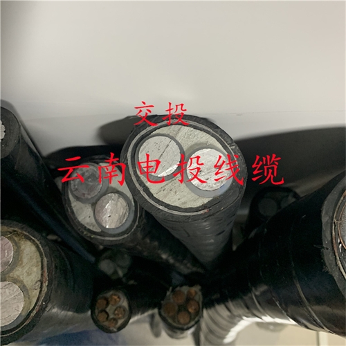 www.trsmz.net
