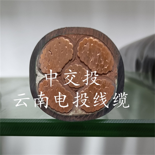 www.trsmz.net