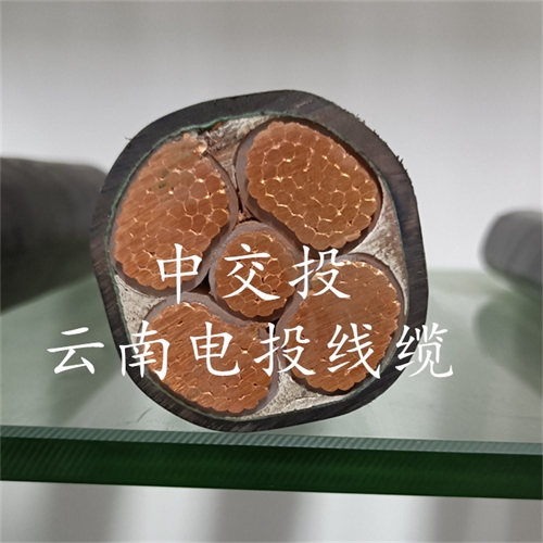 www.trsmz.net