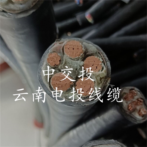 www.trsmz.net