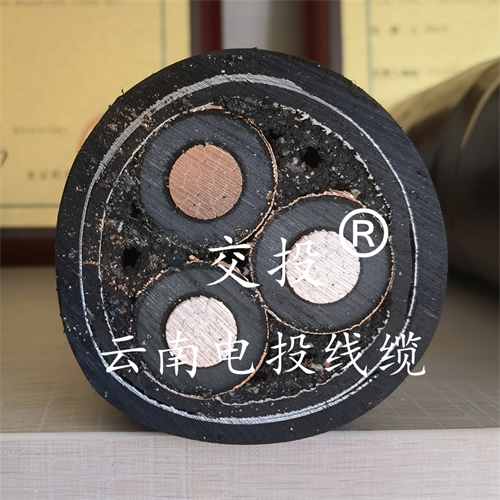 www.trsmz.net