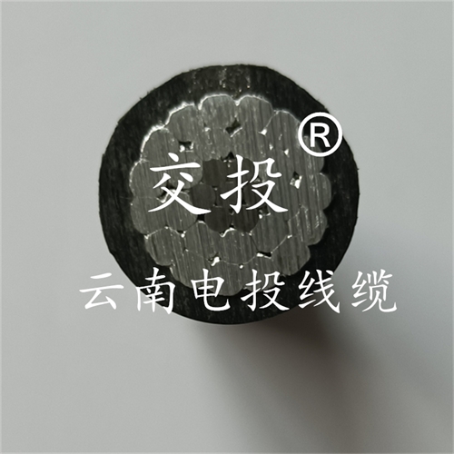 www.trsmz.net